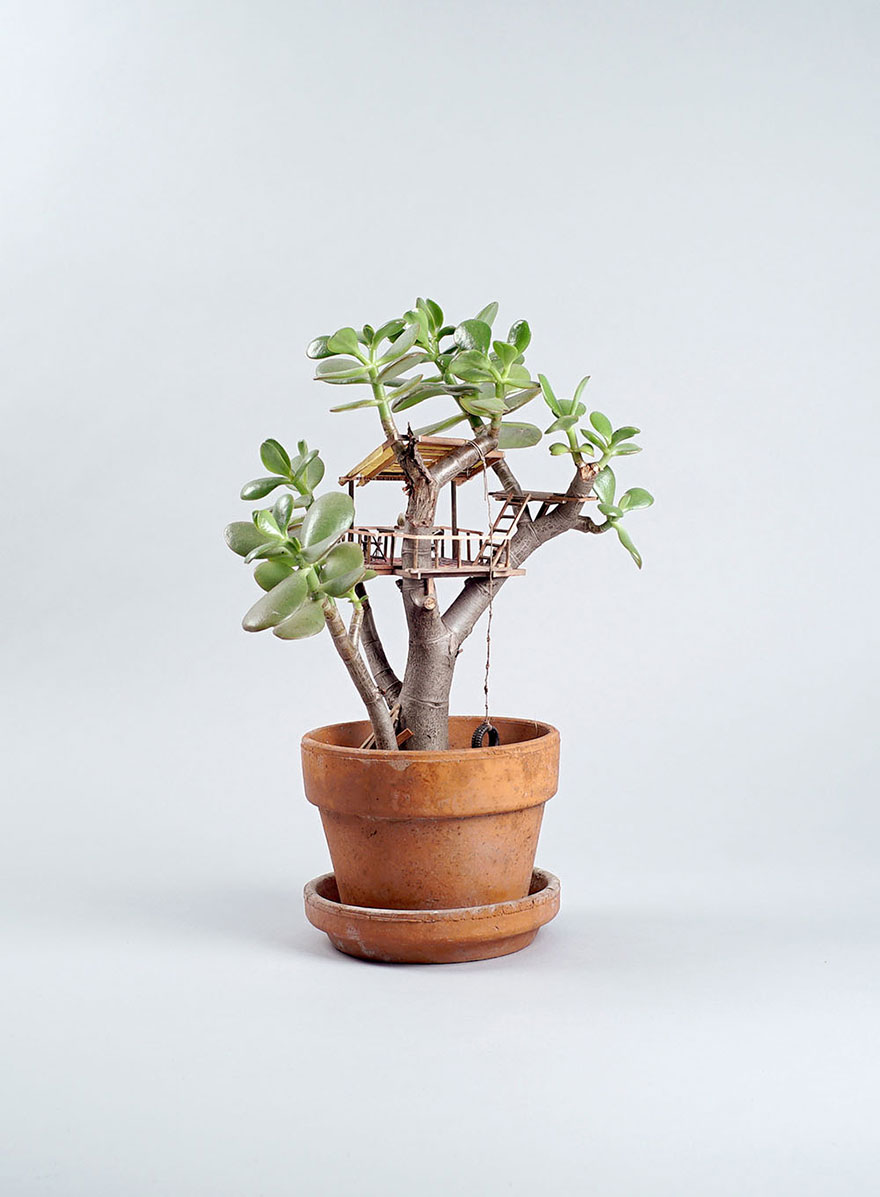 miniature-treehouse-houseplants-somewhere-small-jedediah-corwyn-voltz-8