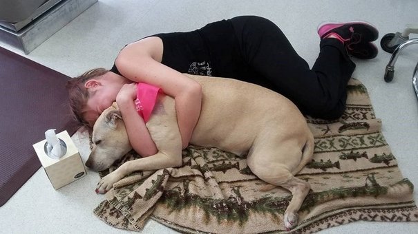 Dona fotografou o último dia com a cadela, e a internet emocionou-se