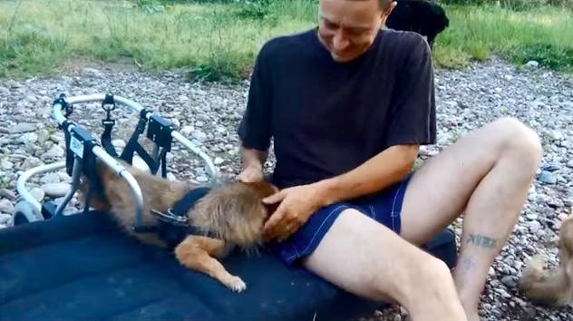 Este homem não suporta ver cães a sofrer, e já adotou mais de 450