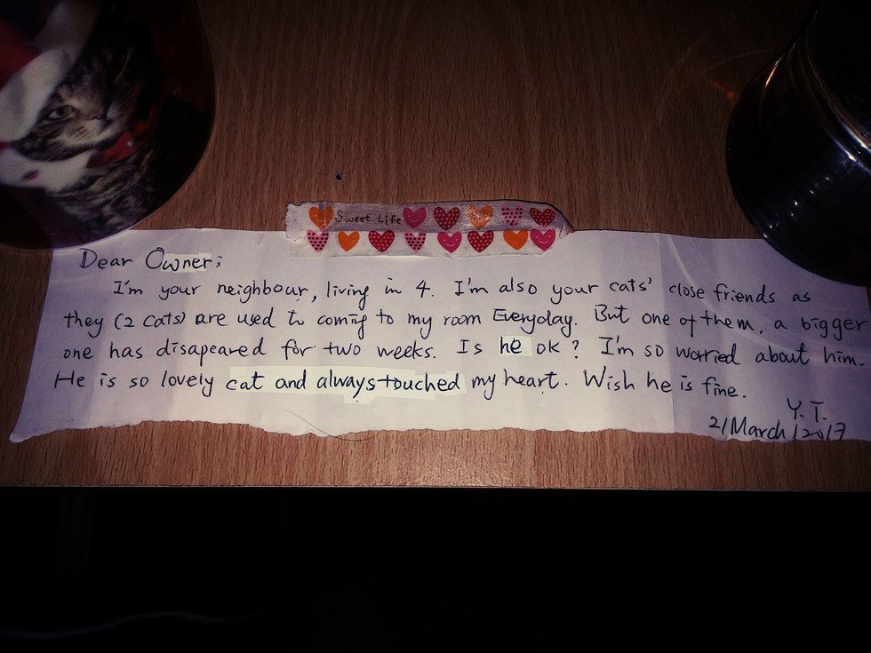O dono chorava a morte do seu gato, e recebeu este bilhete de um estranho que também amava o gato