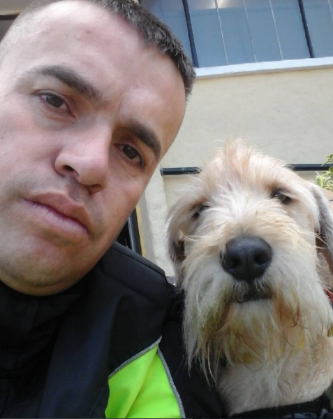 Cão de rua foi adotado, e agora é o polícia mais cool de sempre