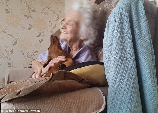 Neto revela a «extrema alegria» que o cão dá à sua avó, doente com Alzheimer