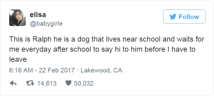 Este cão espera que a sua amiga saia da escola para o ir cumprimentar, todos os dias