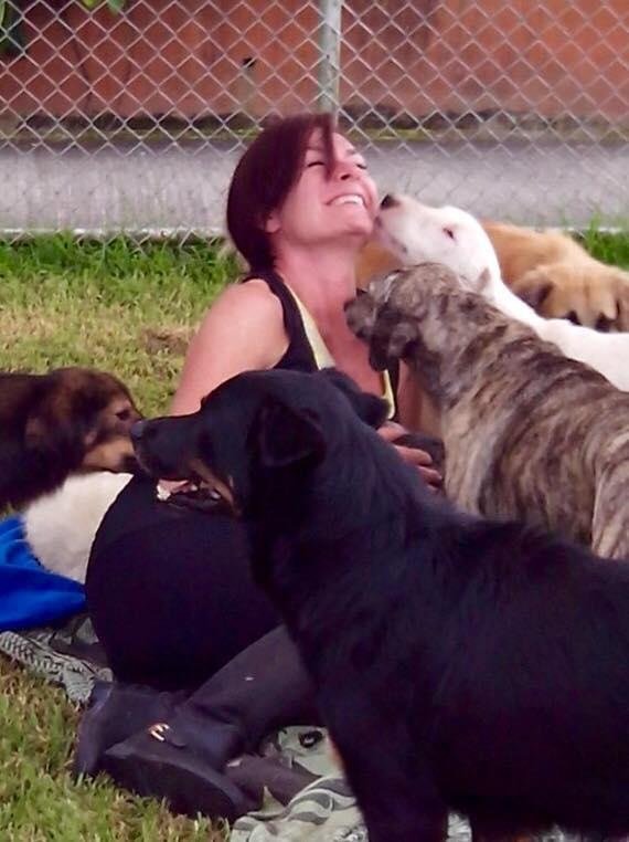 Esta mulher adotou centenas de cães que ninguém queria