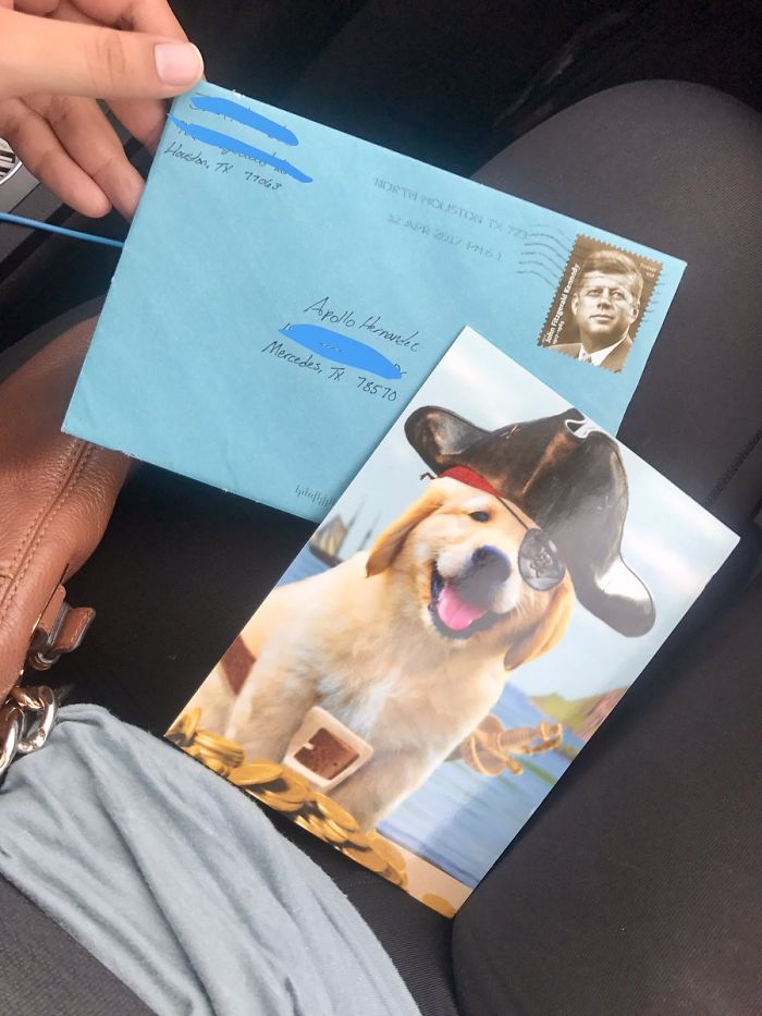 Ex-marido envia presentes de aniversário ao cão do ex-casal, todos os anos