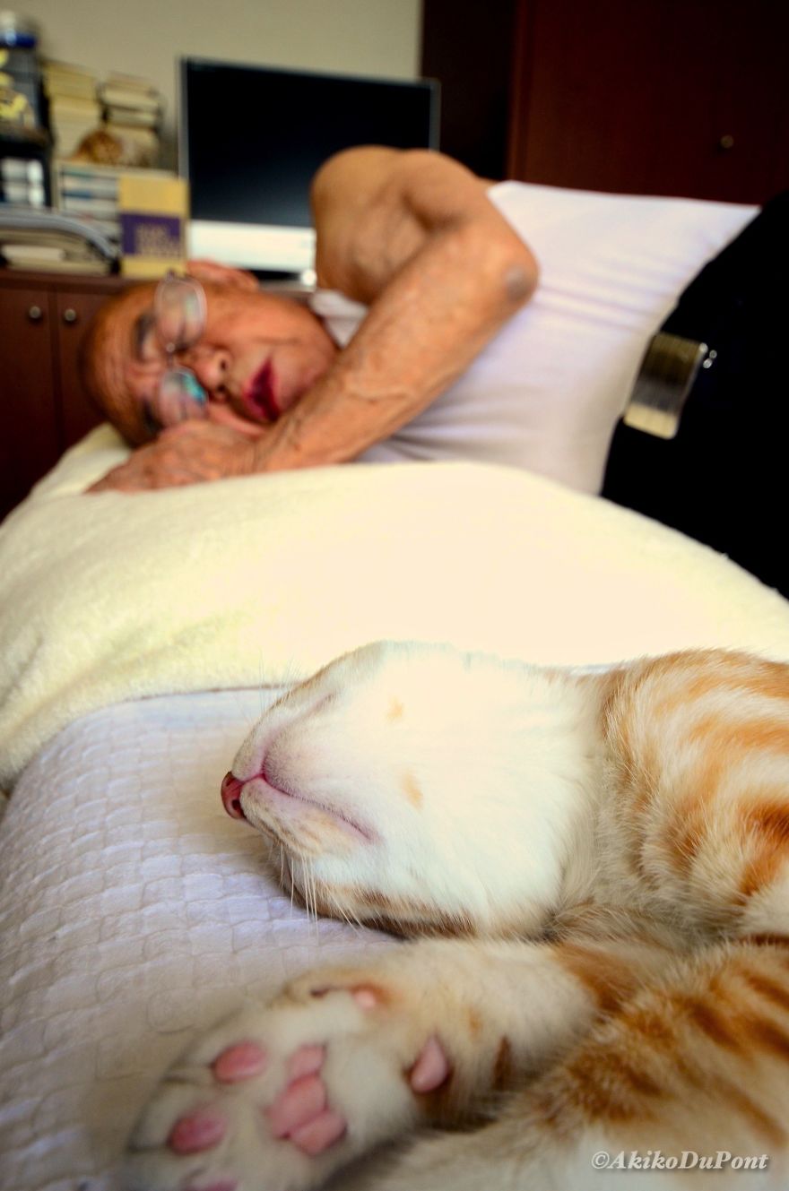 Neta ofereceu gato ao seu avô doente, e isso mudou-lhe a vida, para melhor, claro