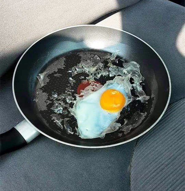 Experiência com ovo mostra porque NUNCA deves deixar o teu cão no carro