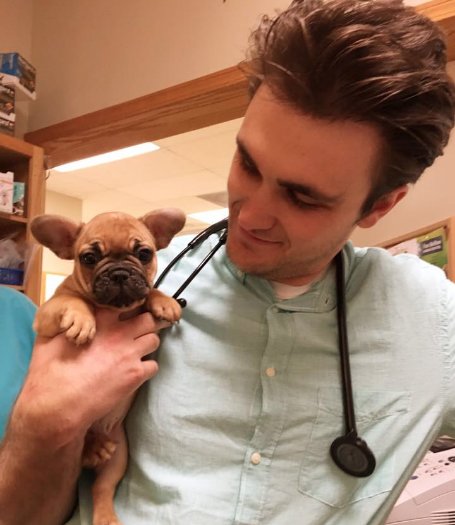 Veterinário canta para confortar cão que estava nervoso antes de uma operação. Encantador