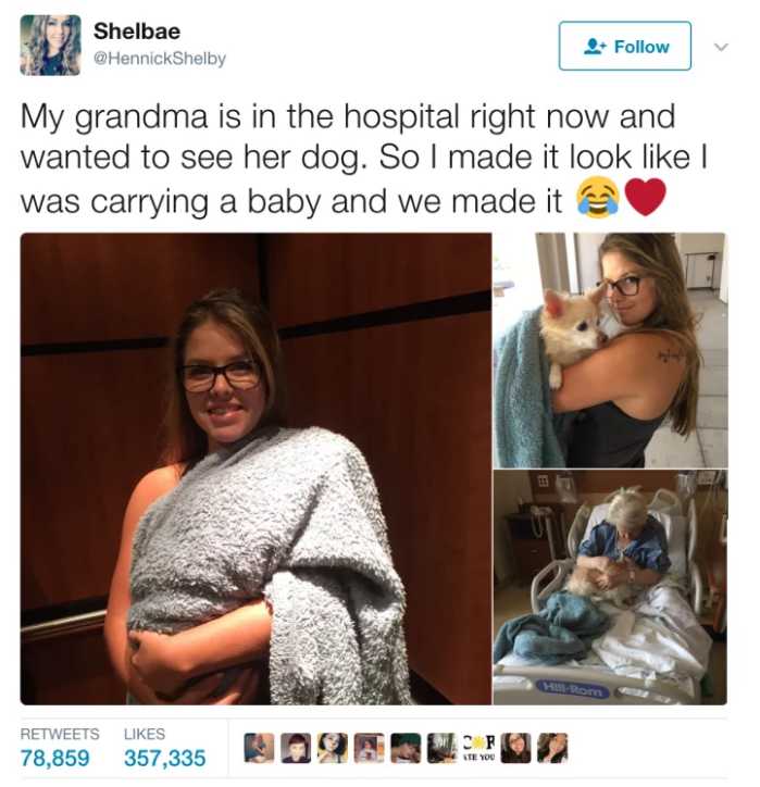 Fingiu carregar um bebé para poder levar o cão a visitar a avó no hospital