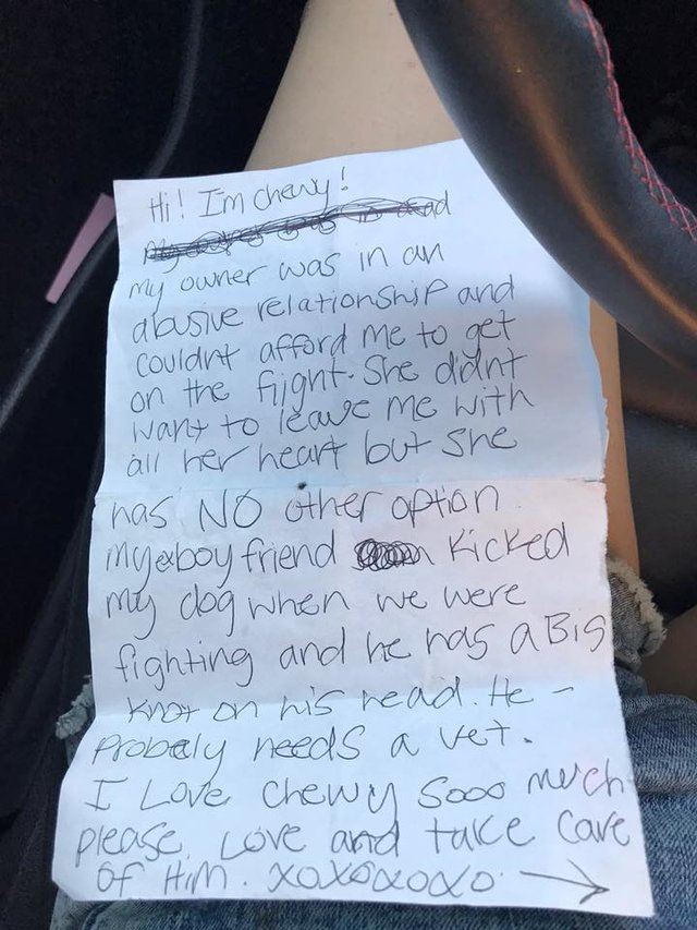 Cão abandonado num aeroporto tinha uma carta emocionante escrita pela ex-dona