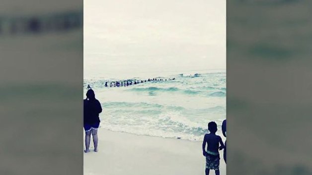 80 pessoas fizeram cordão humano para salvar família de afogamento na Flórida