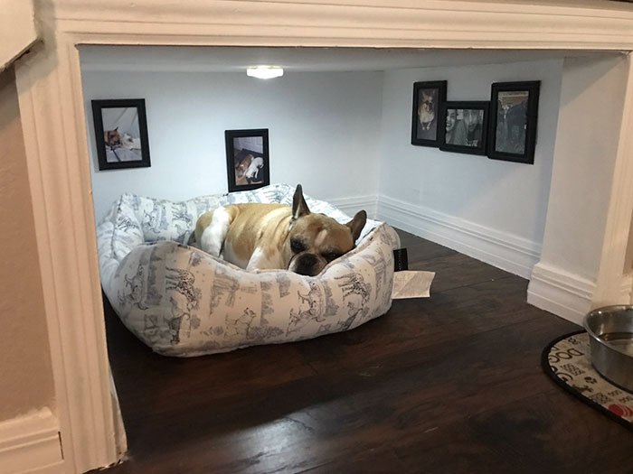 Construiu quarto de sonho para o cão, aproveitando um cantinho debaixo das escadas