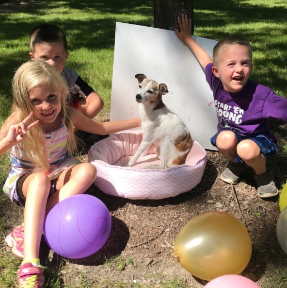 Crianças fazem festa de despedida à sua cadela adotada, e que estava prestes a morrer