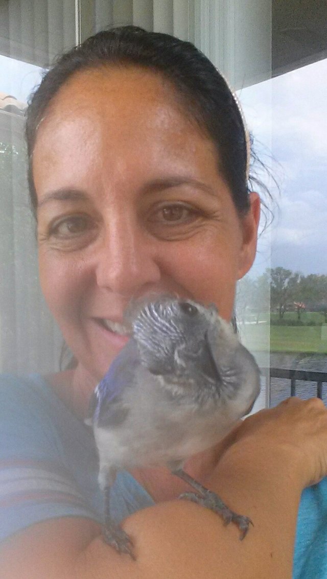Esta mulher salvou um pássaro, e ele retribuiu-lhe quando ela mais precisava…