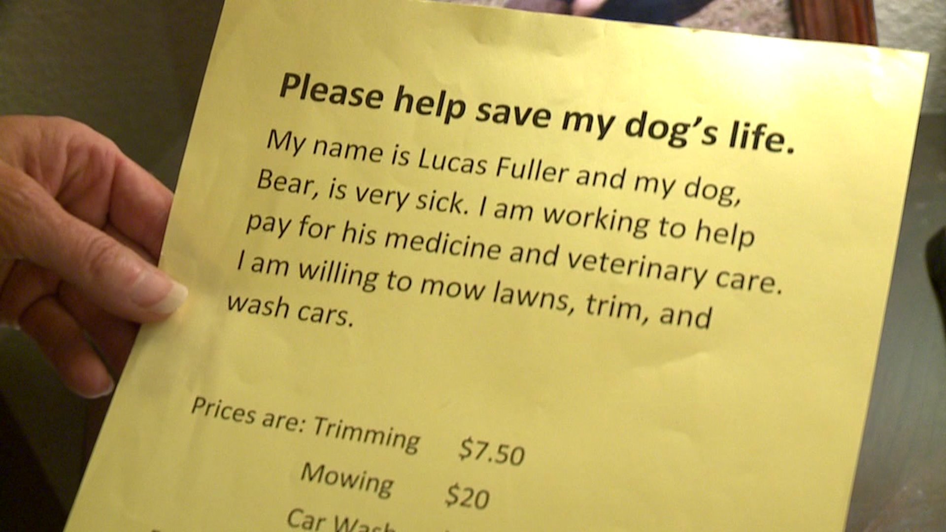 Rapaz de 11 anos coloca anúncio para trabalhar, para poder pagar tratamento do cão