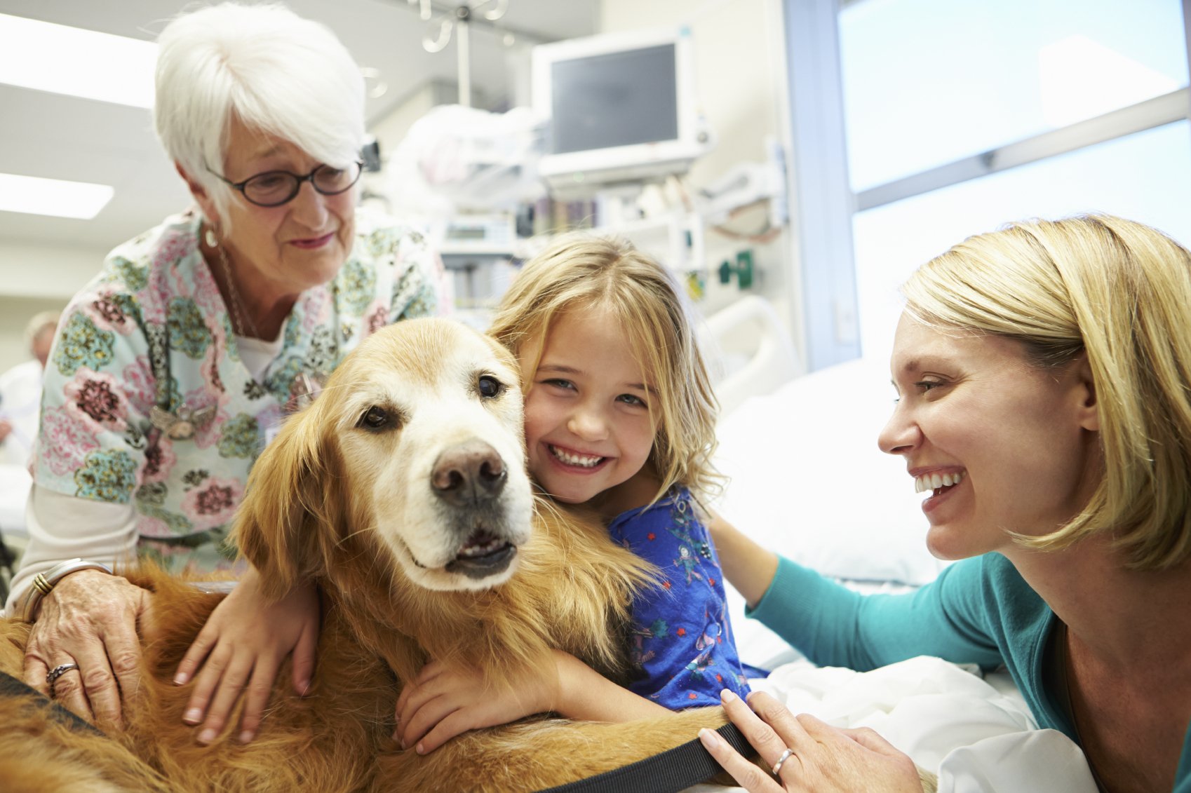 Hospital de Madrid abre as portas aos cães das crianças internadas