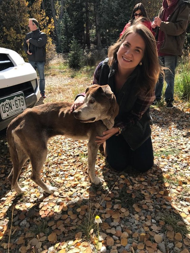 Grupo de montanhistas salvaram cadela que estava perdida numa montanha há 6 semanas