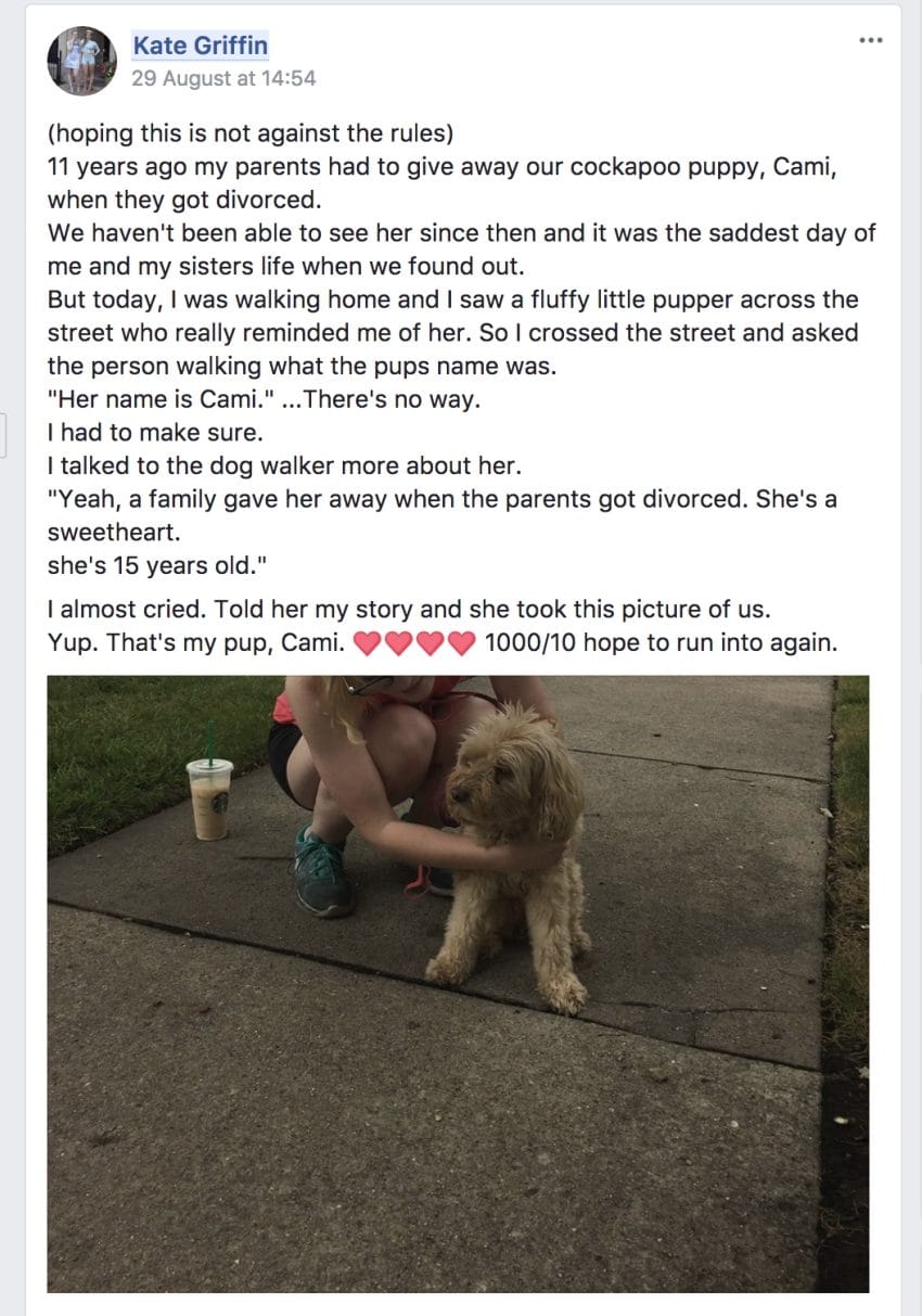Encontra cadela na rua, e chama-a pelo nome. 11 anos depois o reencontro foi emocionante