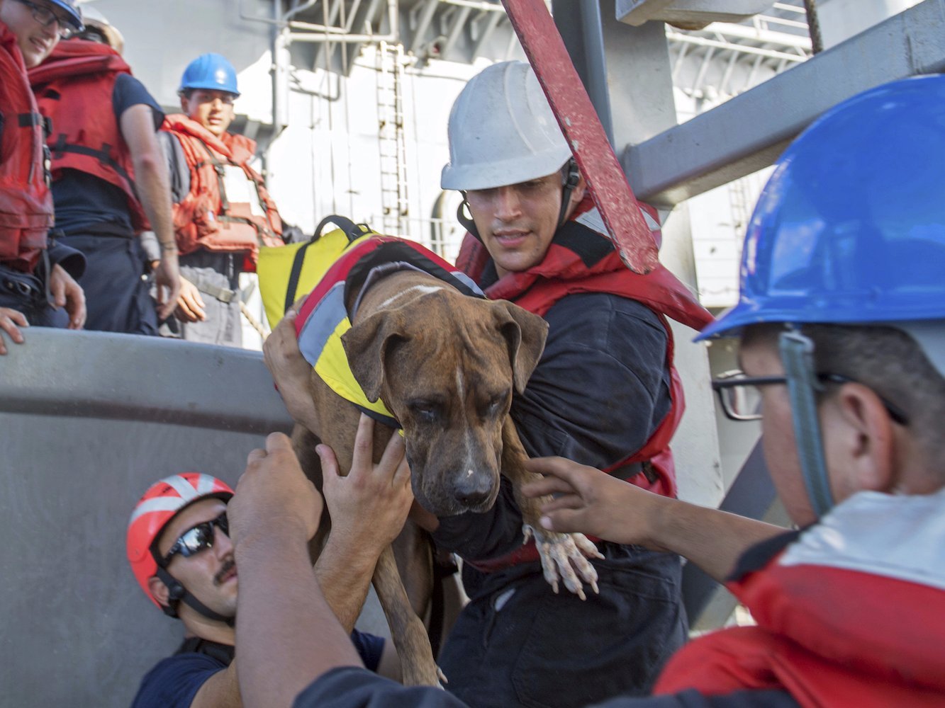 2 mulheres resgatadas depois de passarem 5 meses à deriva num barco, com os seus dois cães