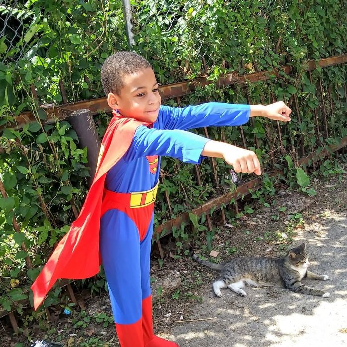 Menino de 5 anos salva gatos de rua, por acreditar que é um &#8220;super-herói&#8221; para eles