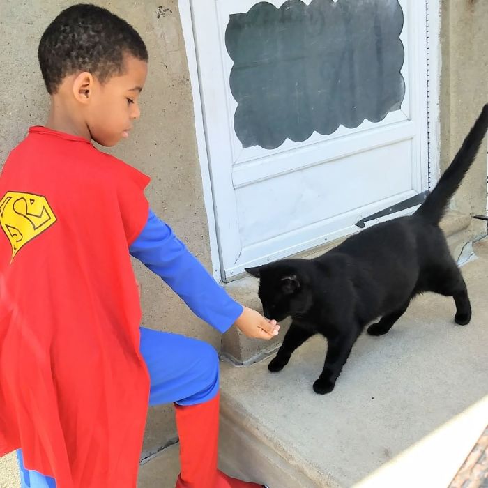 Menino de 5 anos salva gatos de rua, por acreditar que é um &#8220;super-herói&#8221; para eles