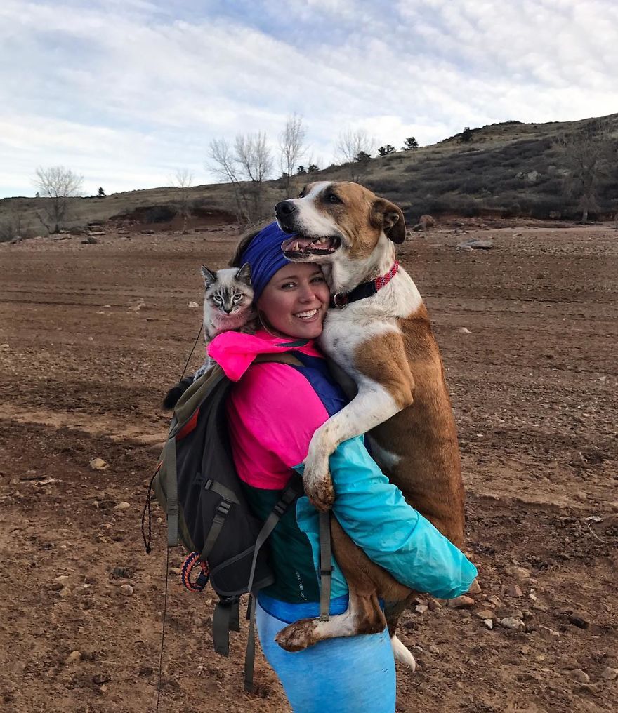 Cão e gato viajam com a dona, e as fotografias derretem o Instagram