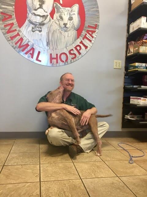 Dona entregou este cão doente para ser abatido, mas o veterinário tinha &#8220;outros planos&#8221;