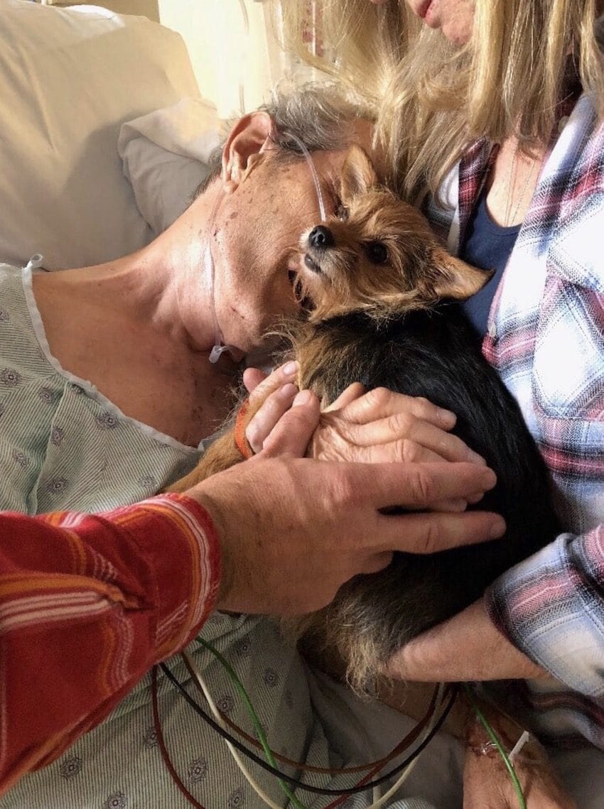 Enfermeira ajudou a levar o cão para se despedir do dono, doente terminal num hospital