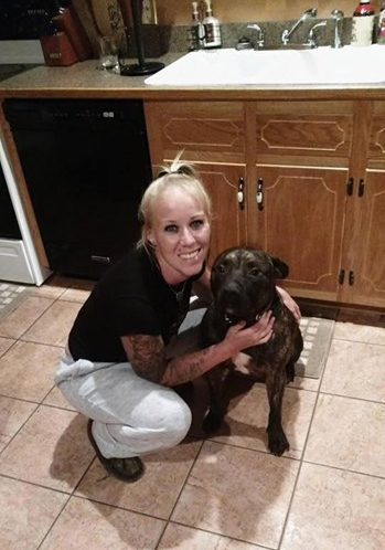 Polícia revela novos detalhes sobre o caso dos cães pitbull que atacaram a dona até à morte