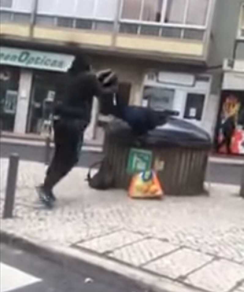 Vídeo: sem-abrigo empurrado para dentro de caixote do lixo na Amadora