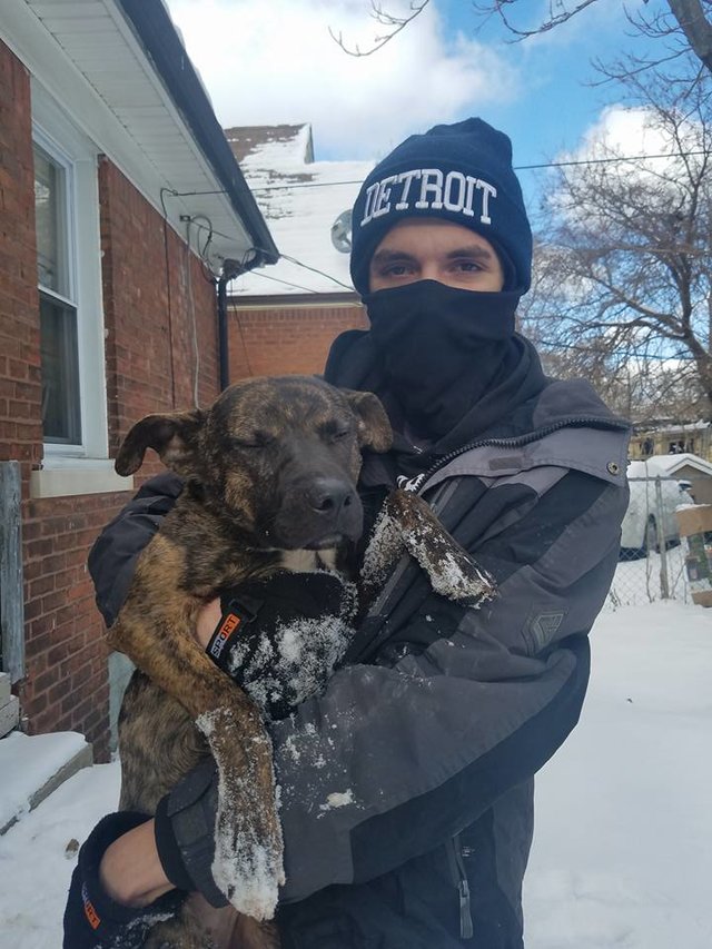Família não queria mais esta cadela, portanto, decidiu atá-la, em plena tempestade de neve