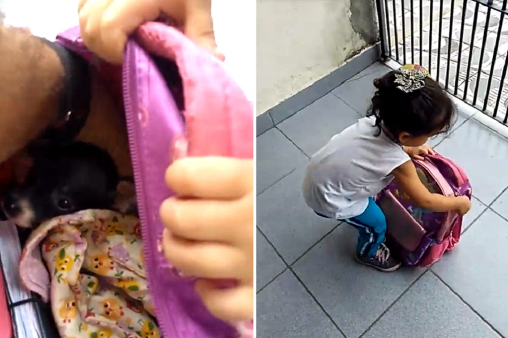 Menina de 2 anos queria levar o &#8220;amigo&#8221; para a escola, e quando o pai viu a mochila&#8230;