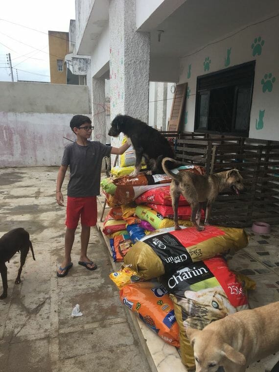 Aniversário: Menino pediu 500kg de ração para doar a abrigo de animais