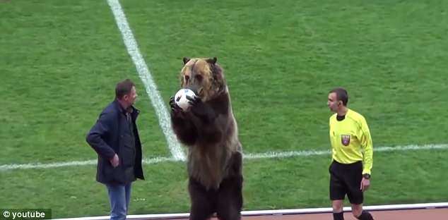 Urso fez de mascote em jogo de futebol, e gerou protestos nas redes sociais