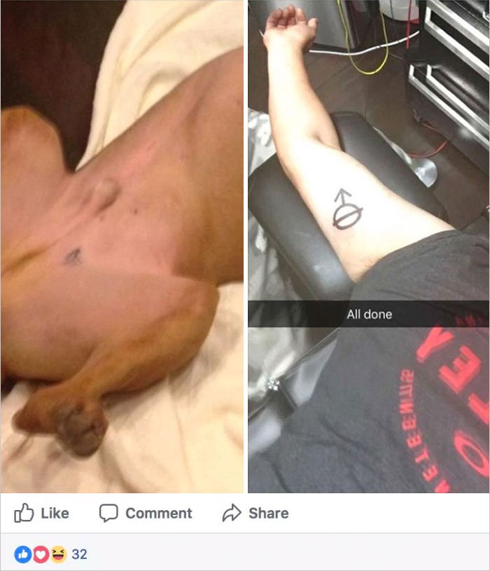 Adotou um cão, e fez a mesma tatuagem que o animal tinha na barriga