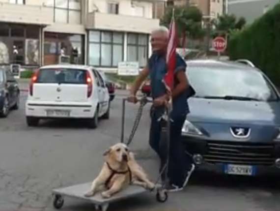 Video de idoso a passear o seu cão está a comover as redes sociais