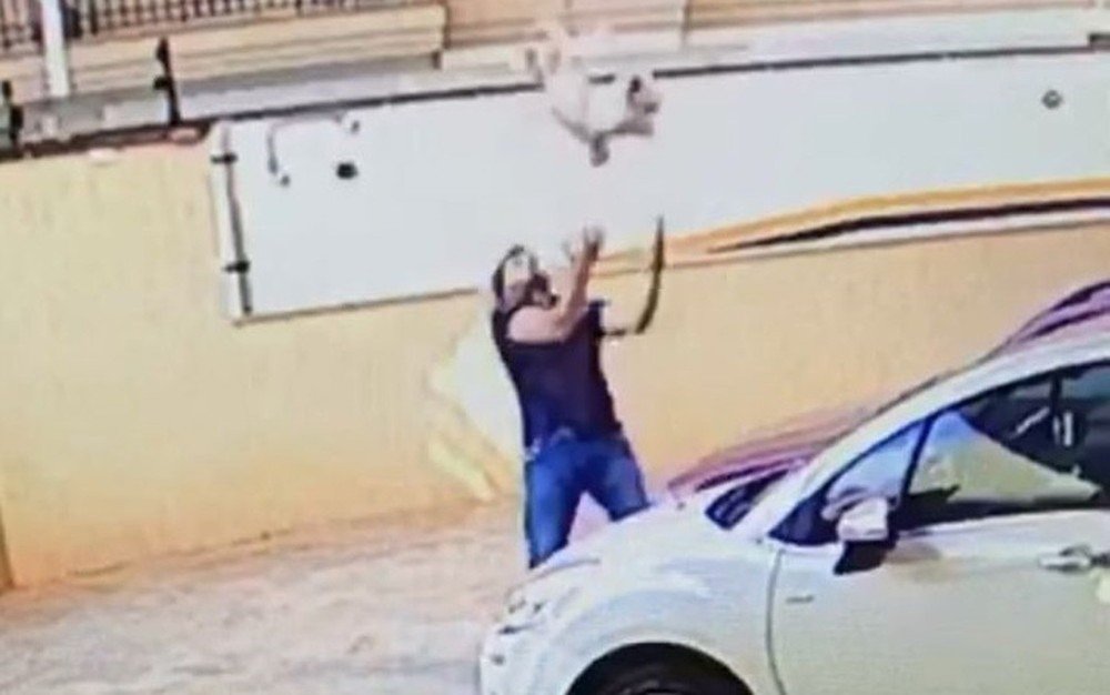 Video: Vizinho apanha (e salva) cadelinha que caiu de um 9º andar