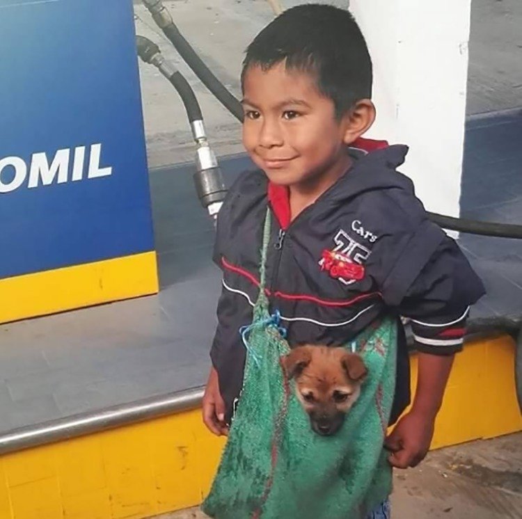 A triste história da imagem viral do menino que leva o seu cão na sacola