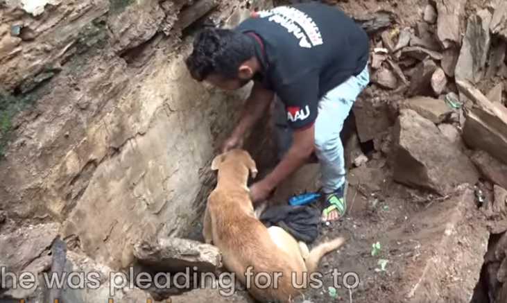 Video: Cadela mamã luta em desespero para salvar os filhotes soterrados