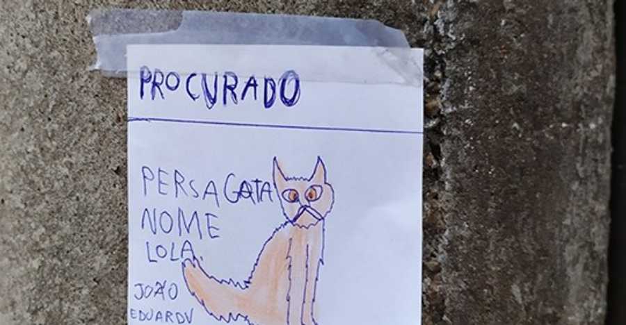 Menino de 8 anos, que espalhou desenhos em postes, reencontrou a sua gata perdida