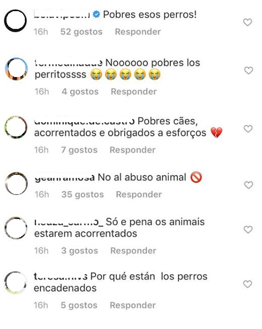 Georgina Rodríguez &#8216;arrasada&#8217; por posar ao lado de cães acorrentados: &#8220;Pobres animais&#8230;&#8221;