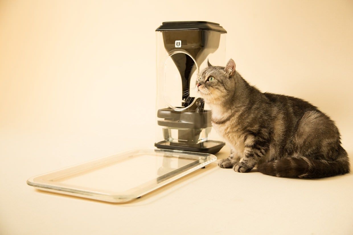 Bistro, o alimentador de gatos inteligente.