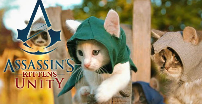Gatos assassinos numa paródia genial de Assassin&#8217;s Creed&#8230;