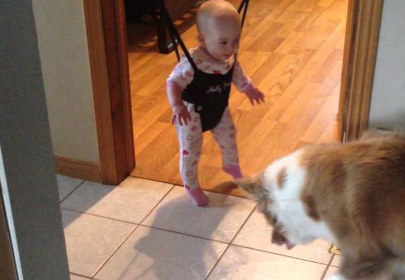 Cão ensina bebé a saltar. Muito fofo.