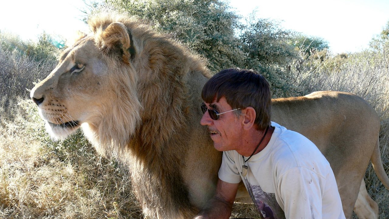 11 anos de amizade entre um Leão e o homem que lhe salvou a vida.