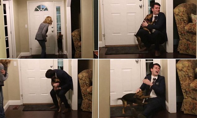 A espectacular reacção de um cão à chegada do dono passados dois anos.