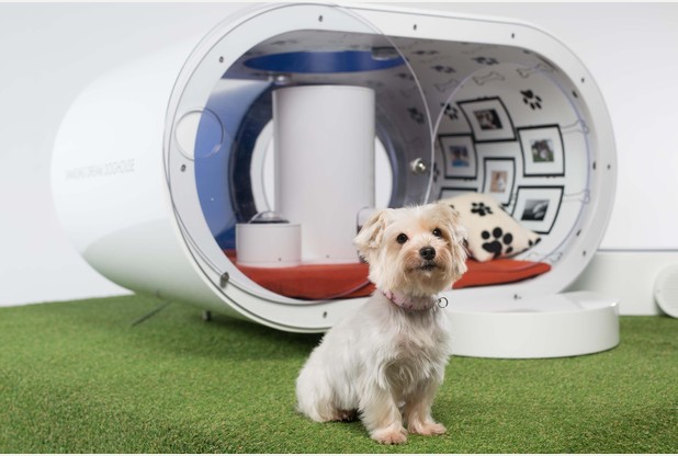Samsung cria casa high-tech para cães.