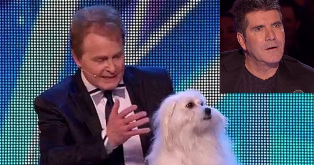 Wendy: a cadela que falou, cantou e encantou no Britain&#8217;s Got Talent.