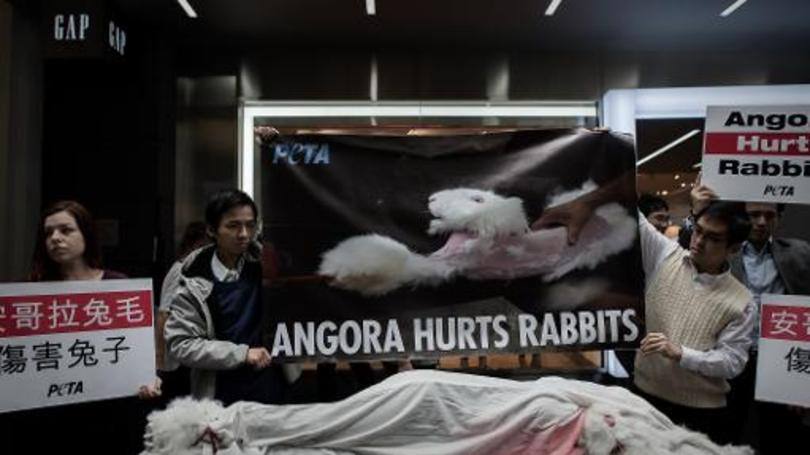 Campanha exemplifica o que sentem os coelhos torturados pelo angorá