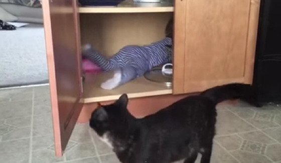 Gato fecha bebé no armário em grande estilo&#8230;